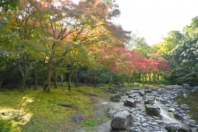 momijinotaki_251114_01