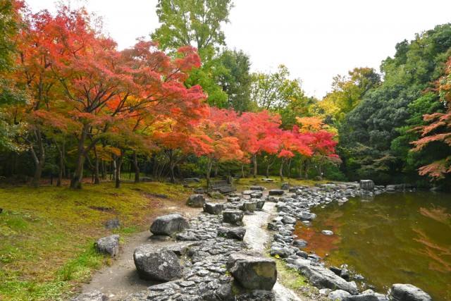 momijinotaki_251119_01