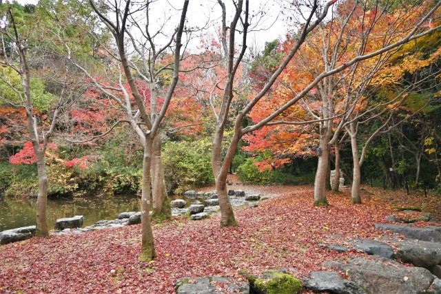 momijonotaki_221201_02