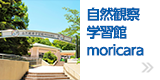 自然観察学習館 moricara