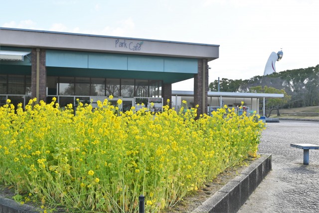 nanohana_parkcafe_230118_01