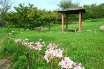 natsuzuisen_250825_02
