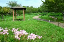 natsuzuisen_250825_04