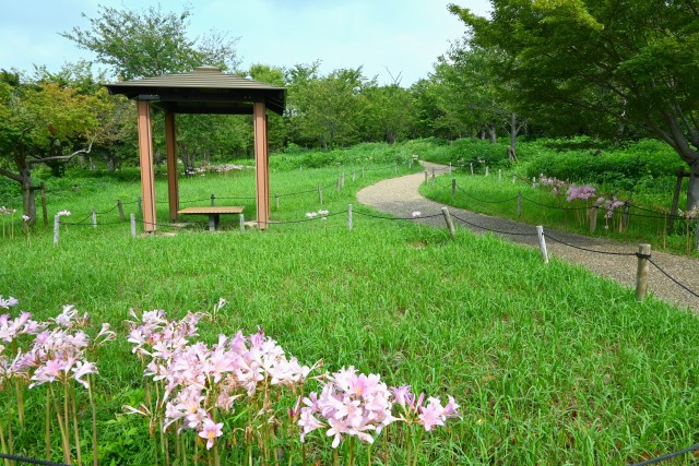 natsuzuisen_250825_04