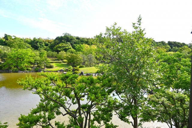 natsuzuisen_260611_02