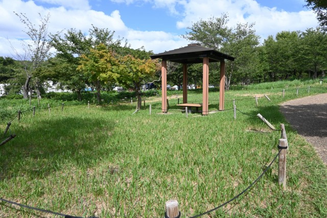 natsuzuisen_260811_03