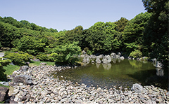 日本庭園 万博記念公園