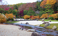 松の洲浜(まつのすはま)