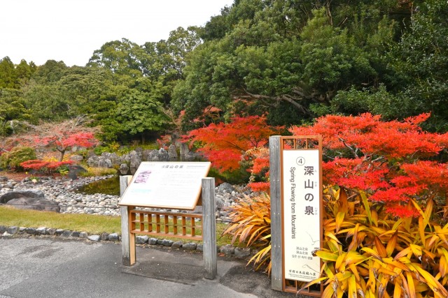 nihonteien_miyama_251128_02