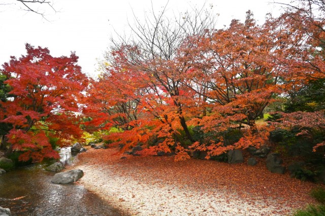 nihonteien_suhama_251203_01