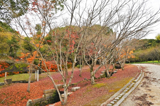 nirenoike_221201_01