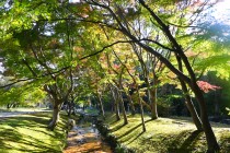 nirenoike_231116_01