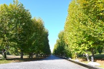 nishioji_231101_02