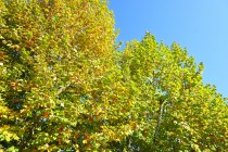 nishioji_231101_03