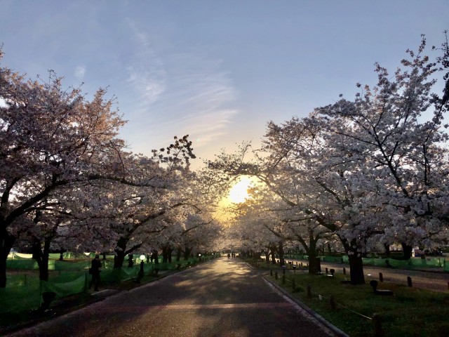 夕日のグラデーション