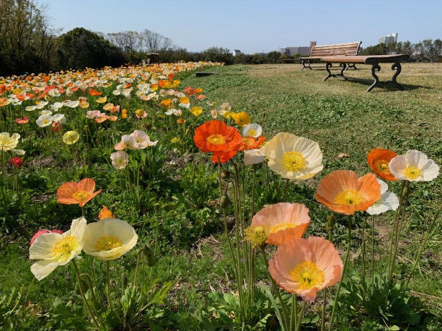 贅沢な距離