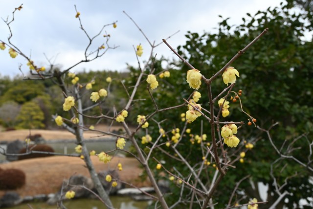 robai_240206_01