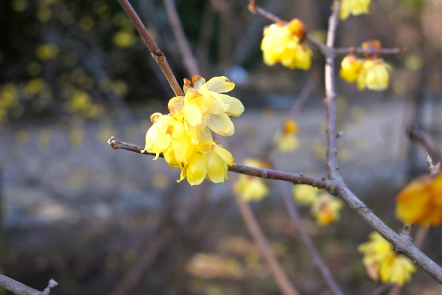 robai_250219_01
