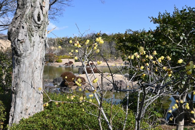 robai_nihonteien_260218_03