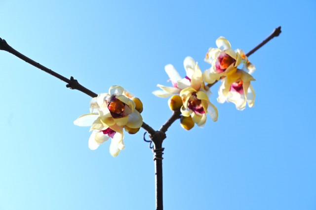 robai_tikurin_260204_01