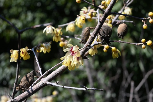 robai_tikurin_260204_02