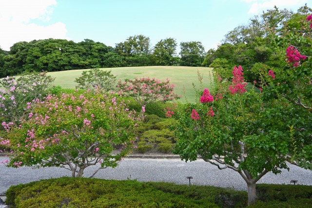 sarusuberi_250904_03