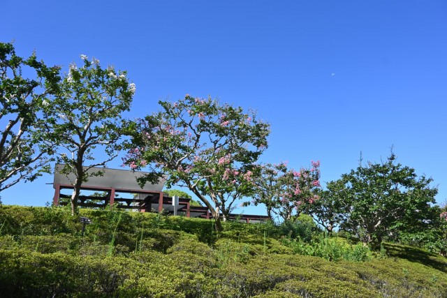 sarusuberi__nihonteien_260805_03