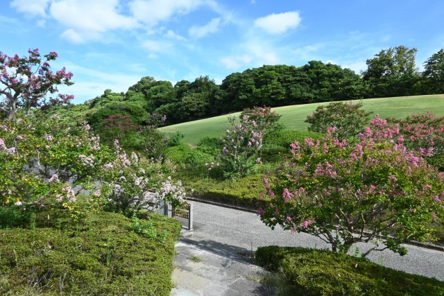 sarusuberi_nihonteien_260826_04
