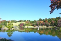 shinjiike_231101_01