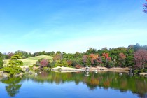 shinjiike_231116_01