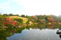 shinjiike_231128_01