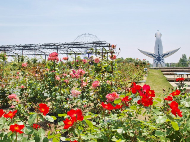 平和のバラ園