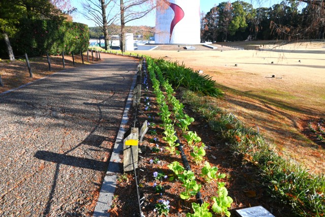 sokudokadan_251223_01