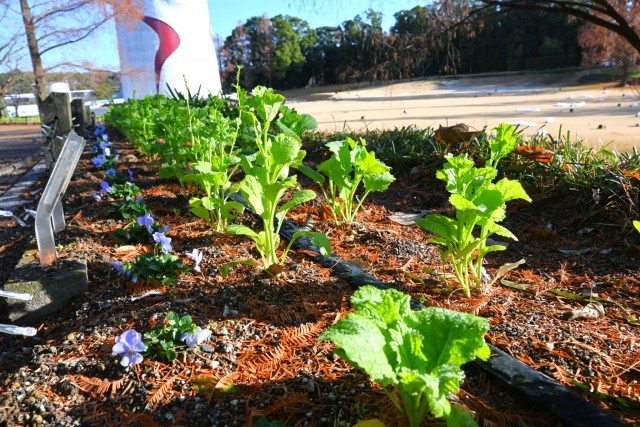 sokudokadan_251223_02