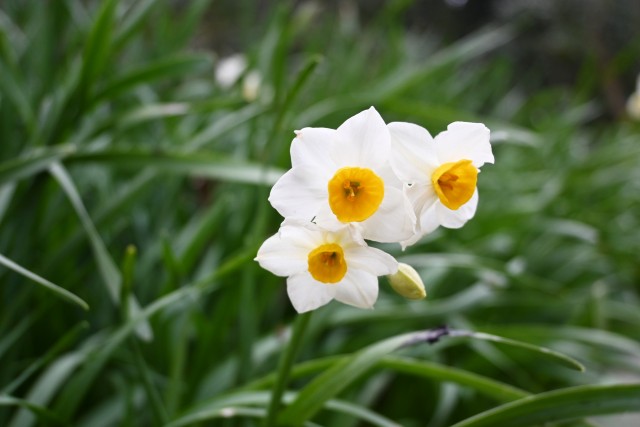 suisen_230208_02