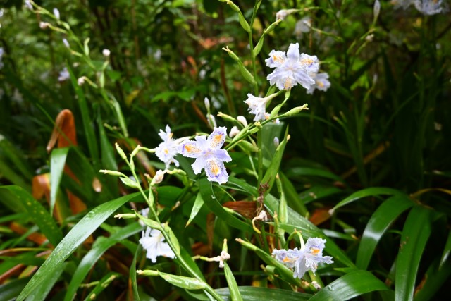 syaga_230426_01