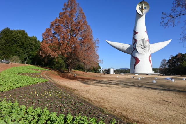 taiyonohiroba_251223_04