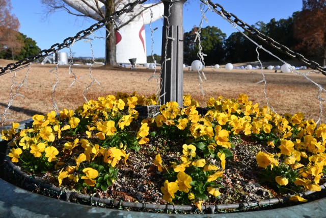 taiyonohiroba_251223_05