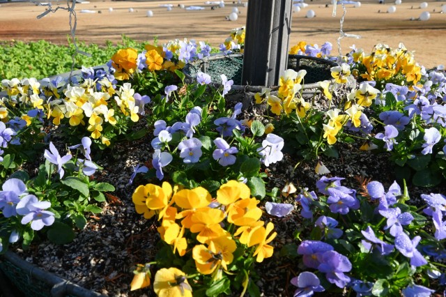 taiyonohiroba_251223_06