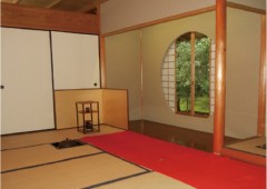 teicya