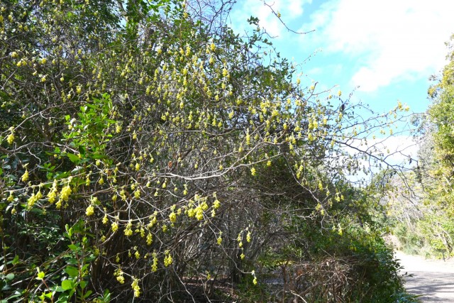 tosamizuki_260311_03