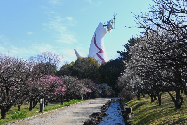 ume _shizenbunkaen_260218_03