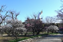 ume_bairin_240209_01