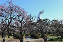 ume_bairin_240209_02