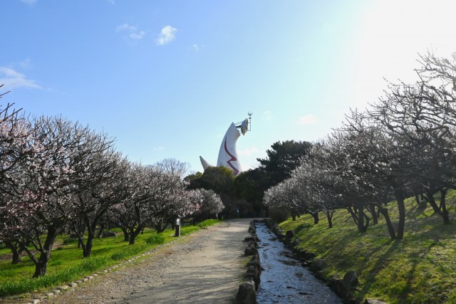 ume_bairin_260305_01