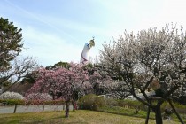 ume_shizenbunkaen_250314_03
