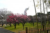 ume_shizenbunkaen_250314_04