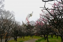 ume_zenkei_240222_02