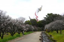 ume_zenkei_240306_01