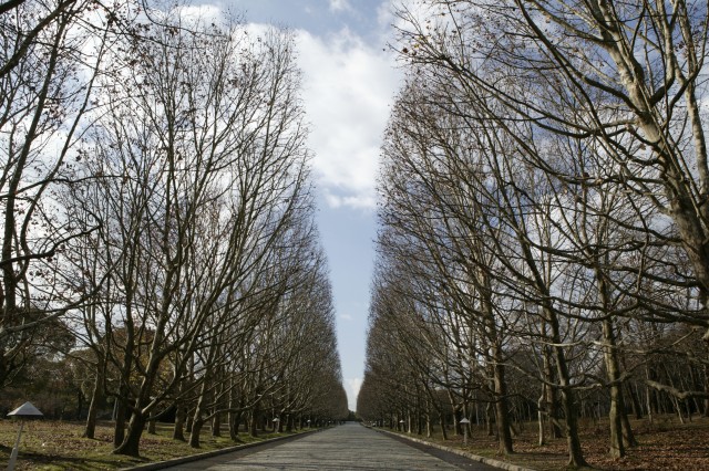 万博記念公園の「冬」